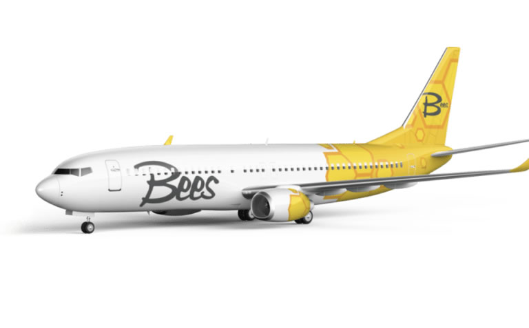 Новый украинский лоукостер Bees Airlines начнет летать через месяц. Будет три эконом-тарифа