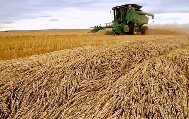 Украина заняла пятое место в мире по экспорту пшеницы: куда продавали зерно