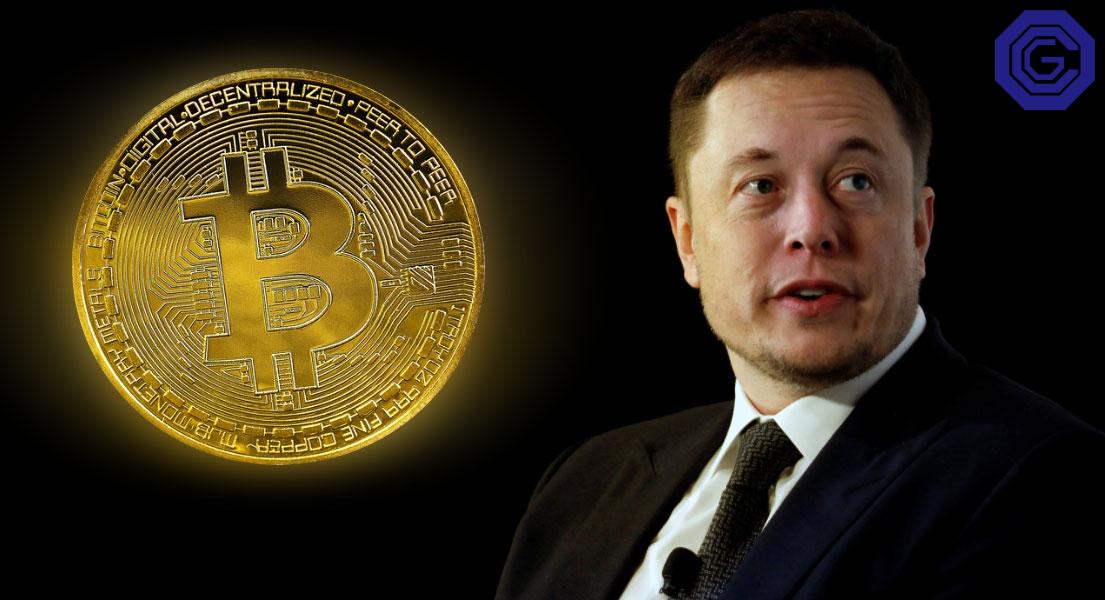 Bitcoin рухнул ниже $43 000 из-за нового твита Маска