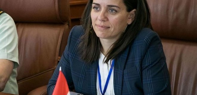 Записывать категорию людей в закон может быть опасным: посол Канады о законе об олигархах