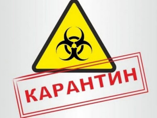 Стало известно, когда начнут действовать новые правила карантина