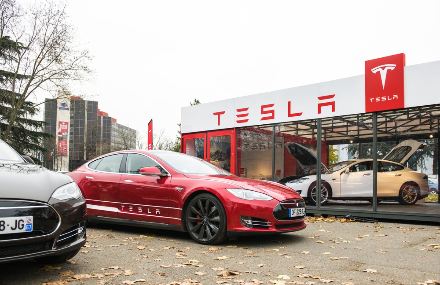 Сбой сервера Tesla привел к остановке электрокаров по всему миру