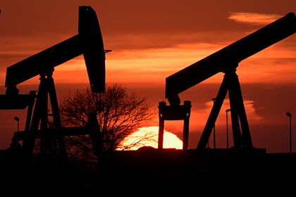 Германия не готова вводить эмбарго на газ, нефть и уголь из России, – Хабек