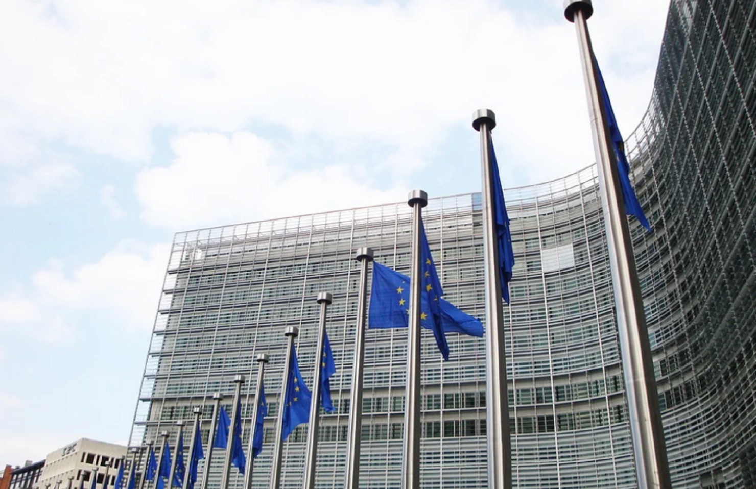 Еврокомиссия подготовит вывод относительно членства Украины в ЕС на протяжении нескольких месяцев – Зеленский