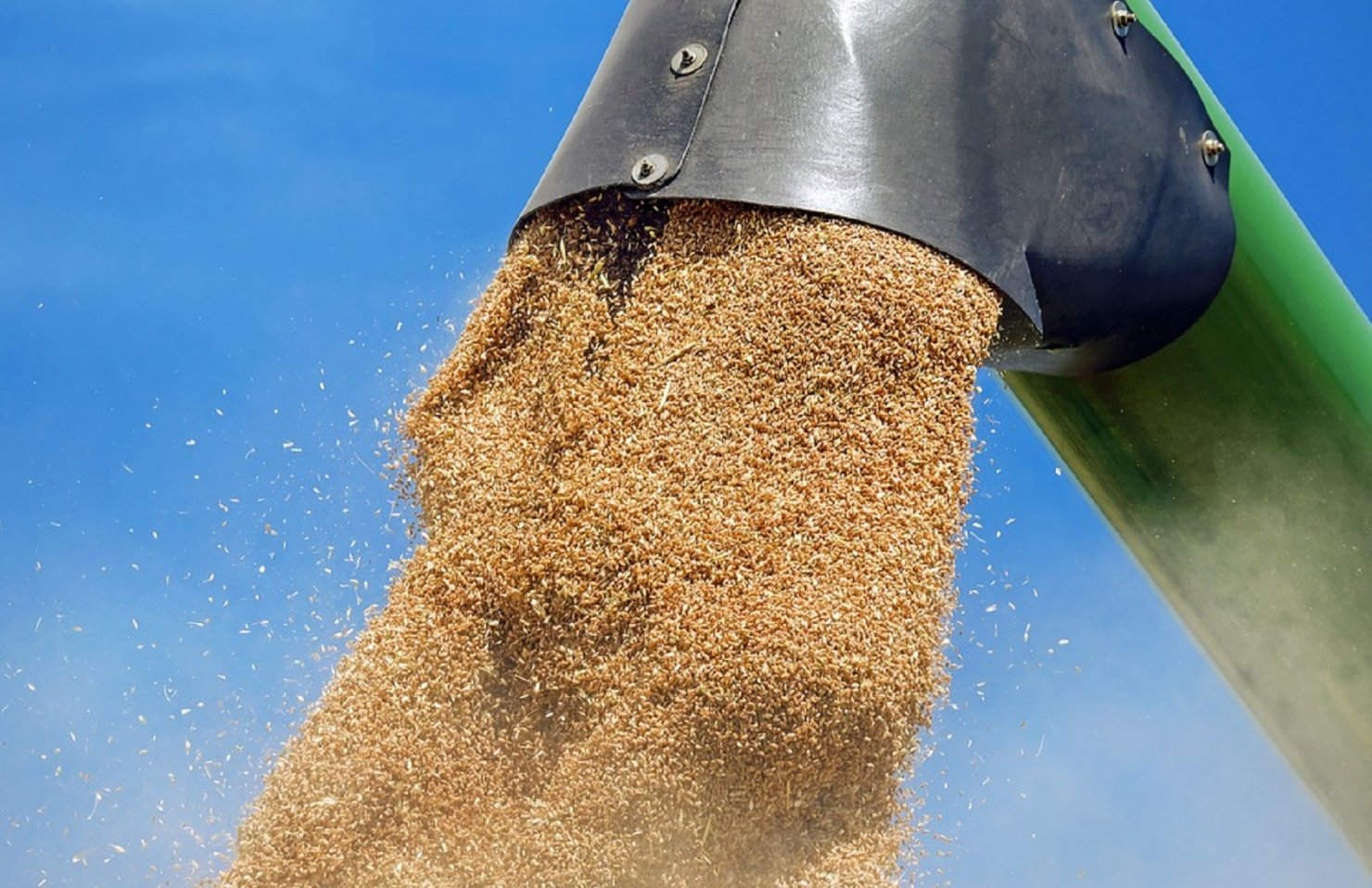 Минагрополитики налаживает новые пути экспорта через порты ЕС