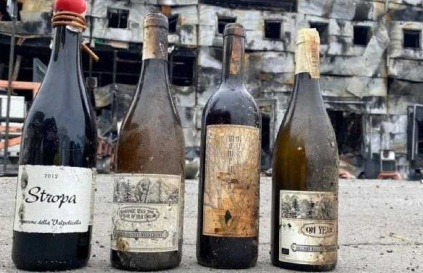 GoodWine продает вина, “выжившие” после ракетного удара
