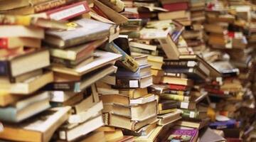 На макулатуру: изъятые из библиотек русские книги пойдут на переработку для наших издателей