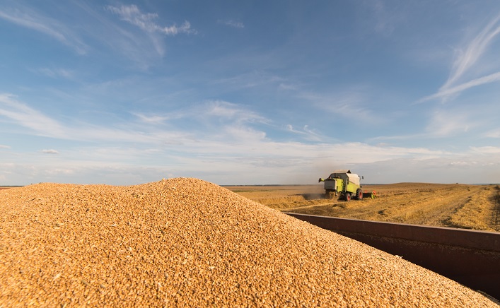 Европейская комиссия запретила импорт украинских продуктов в пять стран ЕС сроком на один месяц
